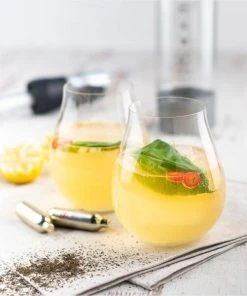 ISi Kohlensäure-Einwegkapseln, 10er Packung -Bialetti-shop Infused Tea